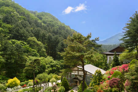 traditional korean garden with green house on sunny day at springtimeの写真素材