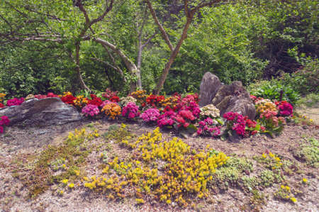 Flower bed with rocks and colorful flowers with trees on backgroundの写真素材