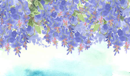 border of branches of violet  ink wisteria with light blue watercolor background and copy spaceの写真素材