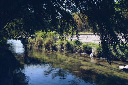 View of Cheonggyecheon Stream and sky  through tree branches