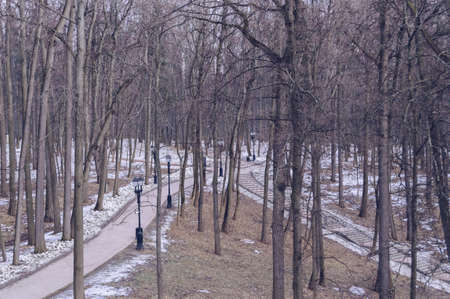 View of paved paths in Tsaritsyno museum -reserve with spring forest surrounding itの写真素材