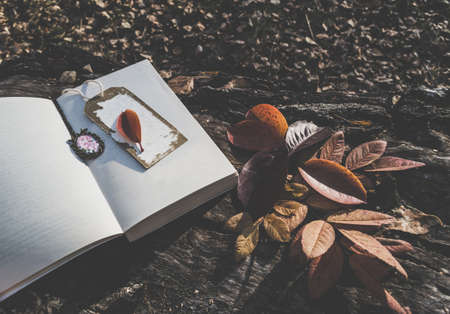 film styled image of opened book with bookmark and pendant lying on wooden log in autumn forestの写真素材