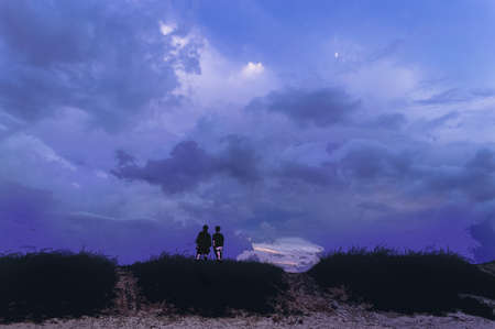 partly outlined and made as illustartion image of two friends staying under majestic and beautiful...