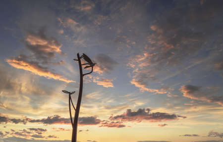 flying bird and tree metal design with stunning sunset skies on backgroundの写真素材