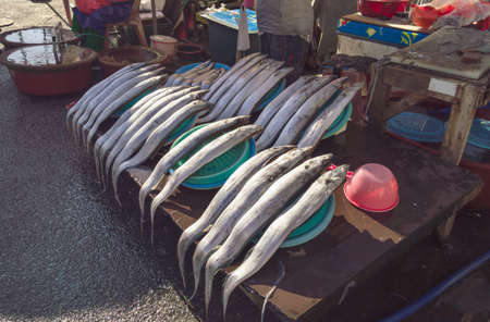hairtail fish for sale in Busan near Jagalchi fish marketの写真素材