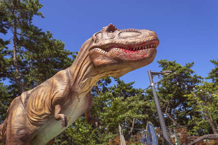Busan, South Korea, September 14, 2019: sculture of Tyrannosaurus in Amnam park on sunny dayのeditorial素材
