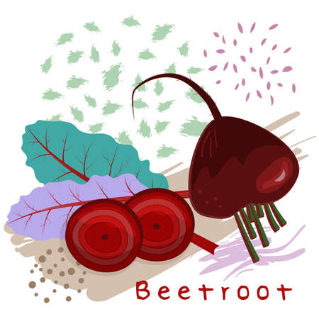 vector illustration of beetroot decorated with abstract colorful elements and isolated on white backgroundのイラスト素材