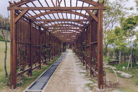 Pocheon, South Korea â 10 May, 2017: wooden passage decorated with lights and climbing roses at Pocheon Art Valleyのeditorial素材