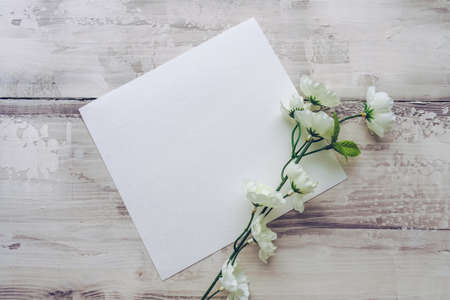 blank white square paper sheet decorated with branch of blooming white flowers