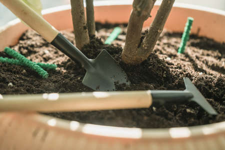 process of soil beneficiation by puttingin it fertilizer in sticksの写真素材