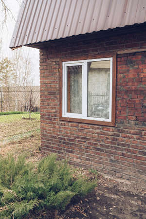 part of small brick house with growing thujaの写真素材