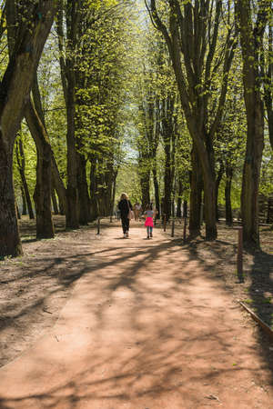 Kaliningrad, Russia - May 10, 2021: people walking in the alley of Kants island park on warm spring dayのeditorial素材