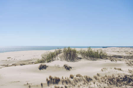 sparkling Baltic sea view on sunny day at curonina spit with sand dunes- Vysota Efa viewの写真素材