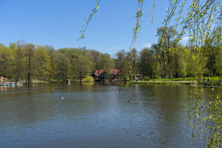 Zelenogradsk, Russia - may 11, 2021: beauty of city park on sunny spring day with catamaran station and willow tree branchesのeditorial素材