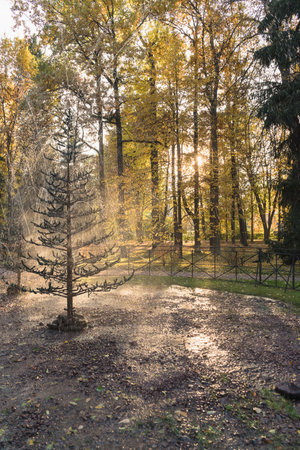 view of fountain cracker Yolochka (fir tree) inside lower park of Petergofの写真素材