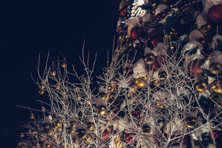 winter holidays decor on trees at nighttime in winterの写真素材