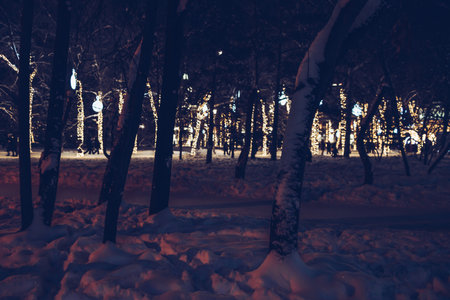 blurred background of snowy  illuminated  park at night timeの写真素材
