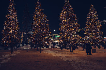 illumination decor on fir trees and between street lamps of winter cityの写真素材