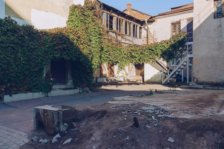 courtyard of old house with virginia creeper growing on wallsの写真素材