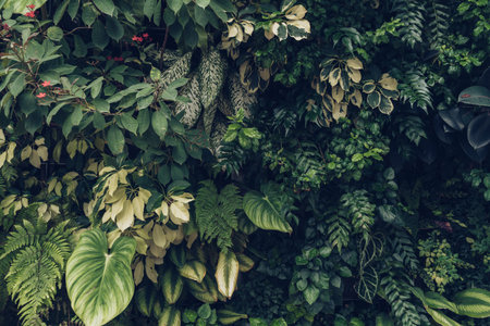lush, vertical garden or a densely planted indoor wall featuring a variety of tropical houseplants
