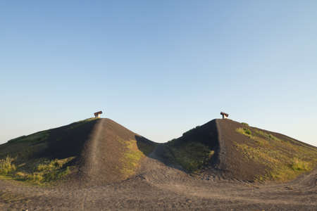 Heap rungsberg in gelsenkirchen