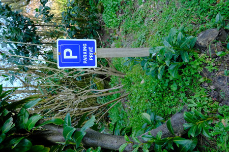 Padlock sign on a wooden post in the garden. Security concept.の写真素材