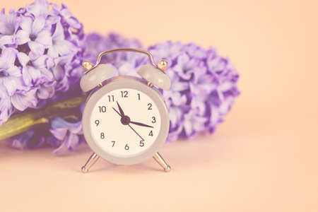 Spring time concept - retro alarm clock with hyacinth flower. Copy space.の写真素材