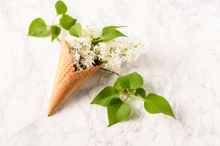 Flowers composition. Lilac in waffle cone on white marble background. Flat lay, top view, copy space. Concept of proposal, attraction, gratitude, tenderness and love.の写真素材