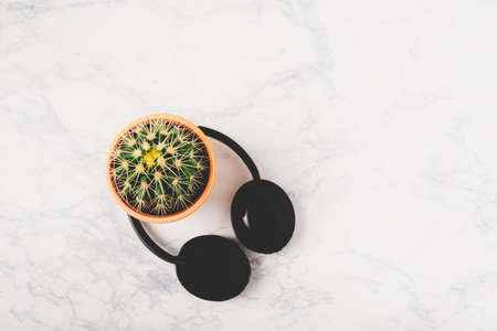 Flat lay, top view of cactus and audio headphones over marbe background with copy space. Minimalist style. Minimal hipster concept.の写真素材