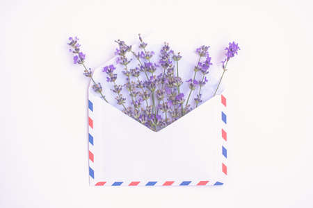 Fresh lavender bouquet and blank airmail envelope isolated on white background. Romantic message concept with copy space. Flat lay.の写真素材