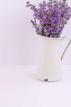 Bouquet of lavender flowers in white pot isolated on purple backgroundの写真素材