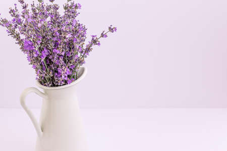 Bouquet of lavender flowers in white pot isolated on purple backgroundの写真素材