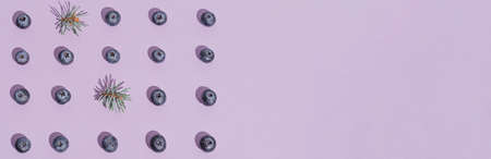 Pattern of blueberry on purple background. Top view, flat lay, banner.の写真素材