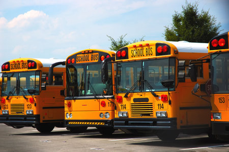School buses parked at the schoolyard.の写真素材