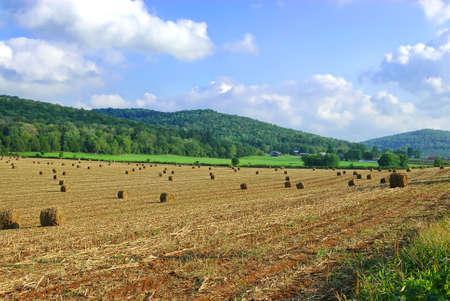 Hay bales dot the countryside along the hillside in Kentucky, USA.