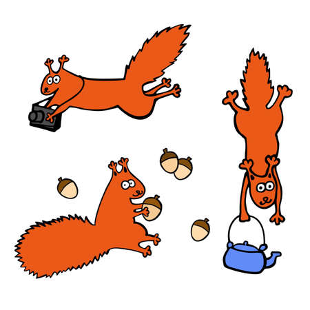 Set of funny red squirrels isolated on white background. Squirrels with photographic camera, acorn and teapotのイラスト素材