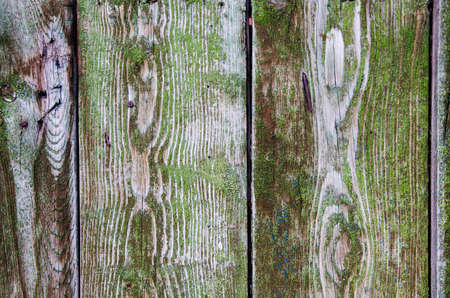 Green wood fence. Natural backgroundの写真素材