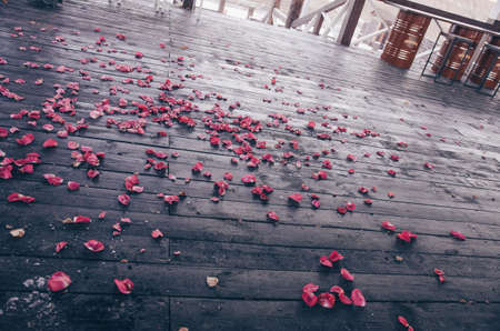 Dark wooden textured floor covered with red rose petals. After wedding