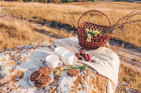 Picnic lunch with landscape background. Two coffee cups, cheese brie, plums and basket with flowersの写真素材