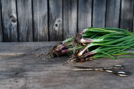 Fresh organic vegetables. Food rustic background