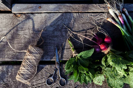 Onions, radish and mint on an old wooden table. Food rustic background