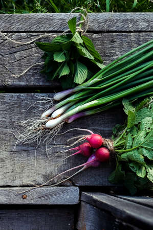 Onions, radish and mint on an old wooden table. Food rustic backgroundの写真素材