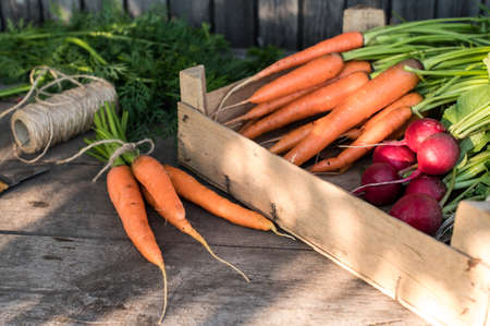 Fresh carrots on dark rustic background. Local farmers market concept