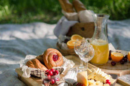 Romantic picnic at the park on a grass. Cheese, fruits, breads, juice and snacks on blanket