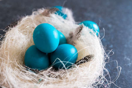 Easter turquoise eggs with twigs in a decorative nest on blue backgroundの写真素材