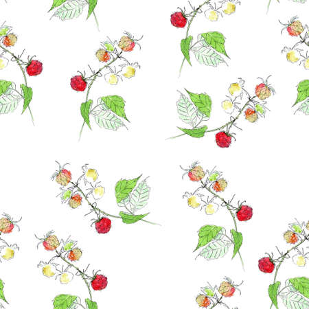 Watercolor seamless pattern of a branches with raspberries. Cute aquarelle texture for bedding, fabric, wallpaper, wrapping paper, textile, t-shirt printの写真素材