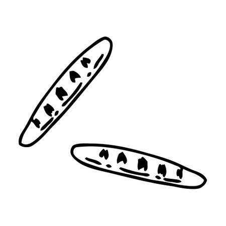 Hand drawn french bread baguettes in doodle style. Perfect for tee, stickers, cards. Isolated vector illustration for decor and design.のイラスト素材