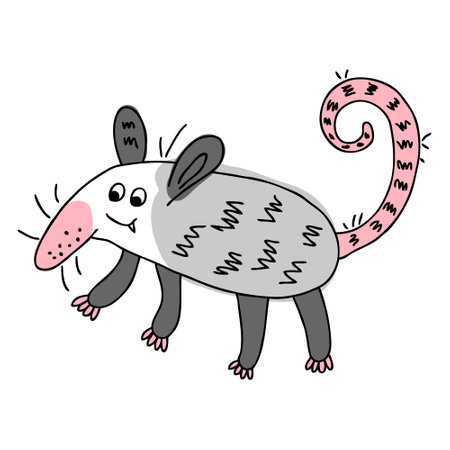 Doodle american opossum isolated on white background. Perfect for tee, textile and print. Vector illustration for decor and design.のイラスト素材