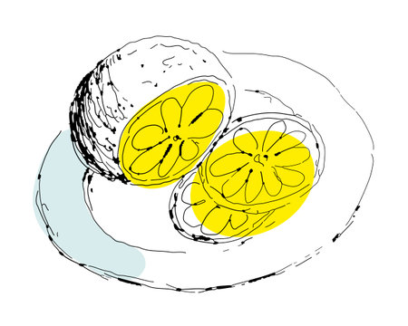 Hand drawing sketch sliced lemon on a plate. Perfect print for tee, poster, card, sticker. Doodle vector illustration.のイラスト素材