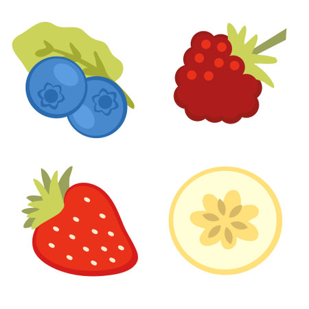 Hand drawn fruits collection: blueberry, strawberry, raspberry and banana slice. Perfect forのイラスト素材